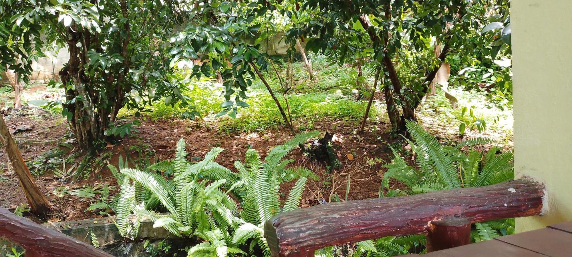 Holiday home Ranga Hikkaduwa