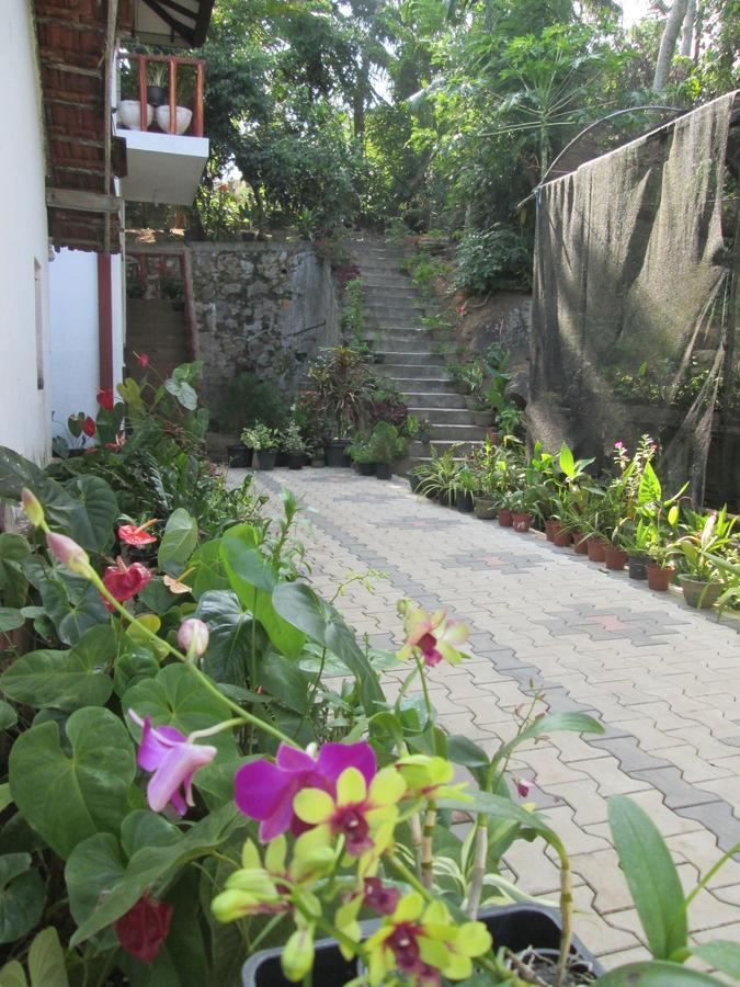 Ranga Holiday home Hikkaduwa