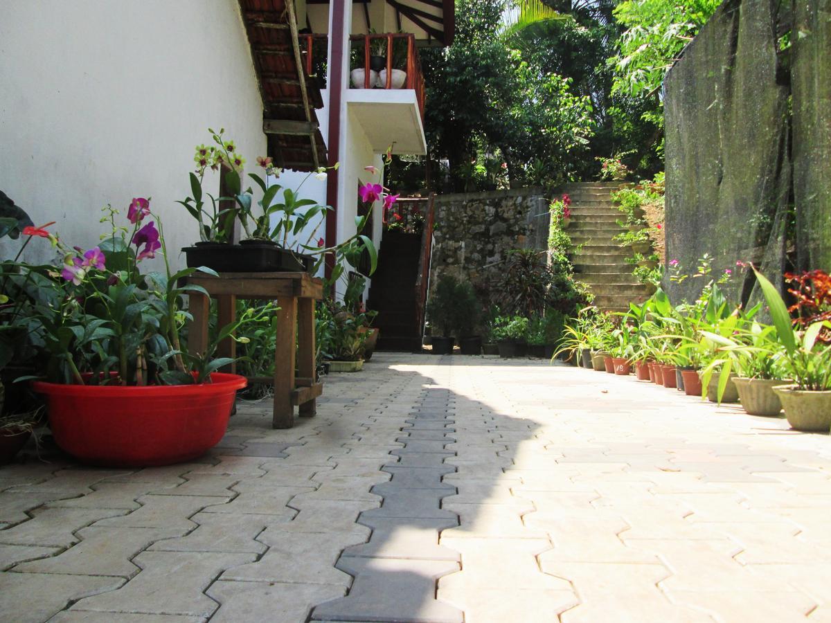 Ranga Holiday home Hikkaduwa