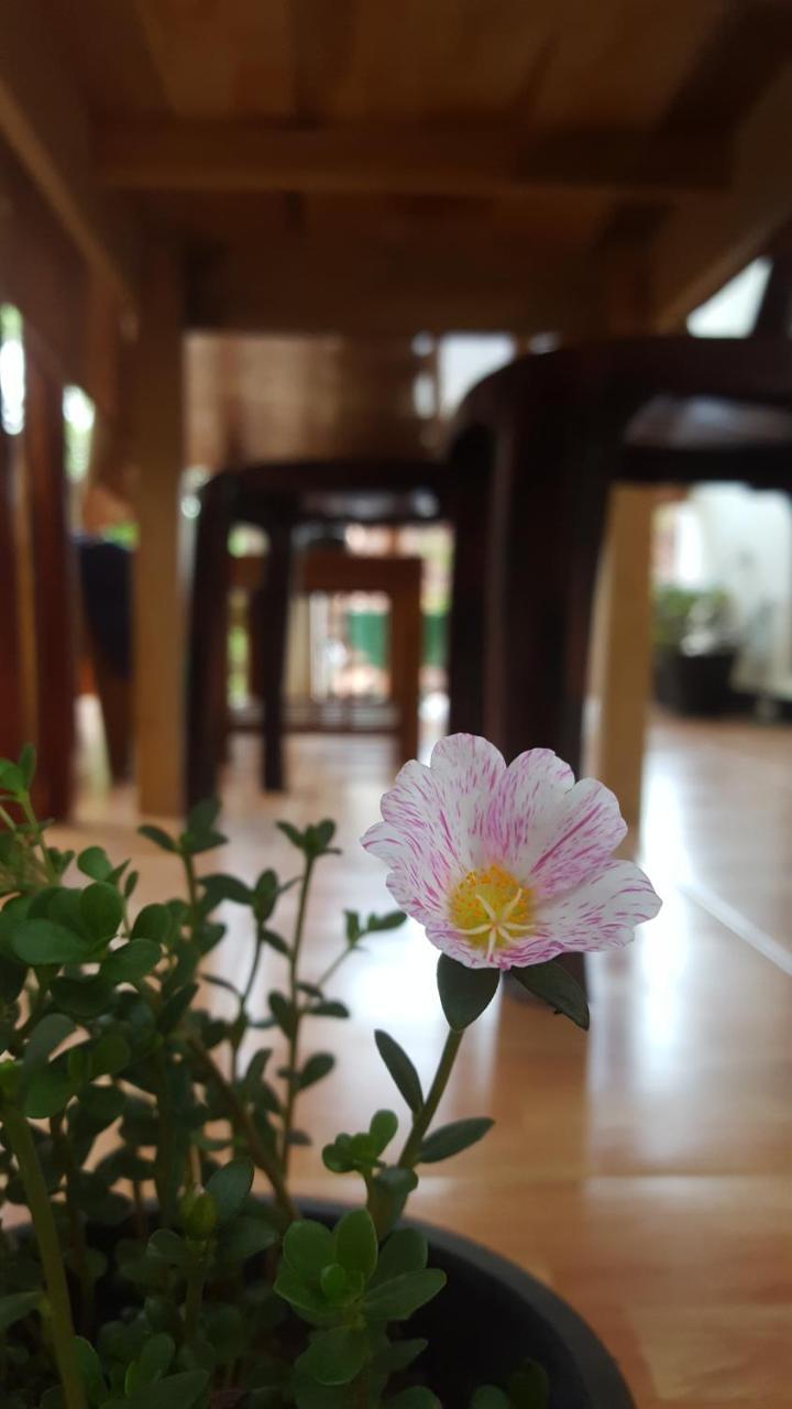 Holiday home Ranga Hikkaduwa